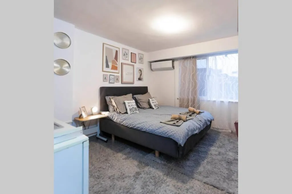 11 Steps From The Center, Lovely Studio Albania